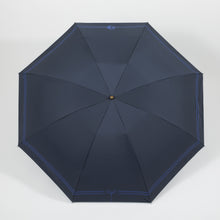 Load image into Gallery viewer, Dimitri Model Umbrella Fire Emblem: Three Houses