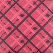 Load image into Gallery viewer, Aster Model Mini-Bag NU: Carnival