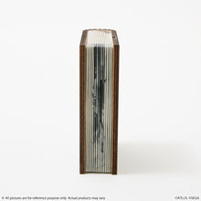 Load image into Gallery viewer, Fantasy Novel Model Light Metaphor: ReFantazio