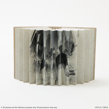 Load image into Gallery viewer, Fantasy Novel Model Light Metaphor: ReFantazio