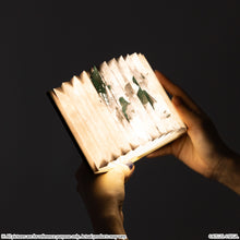 Load image into Gallery viewer, Fantasy Novel Model Light Metaphor: ReFantazio