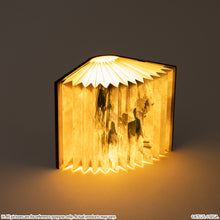 Load image into Gallery viewer, Fantasy Novel Model Light Metaphor: ReFantazio