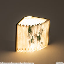 Load image into Gallery viewer, Fantasy Novel Model Light Metaphor: ReFantazio