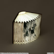 Load image into Gallery viewer, Fantasy Novel Model Light Metaphor: ReFantazio