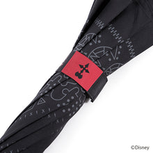 Load image into Gallery viewer, Axel Model Umbrella Kingdom Hearts