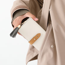 Load image into Gallery viewer, Natsume's Book of Friends Model Long Wallet