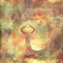 Load image into Gallery viewer, Nicol Bolas Model Windbreaker Magic: The Gathering