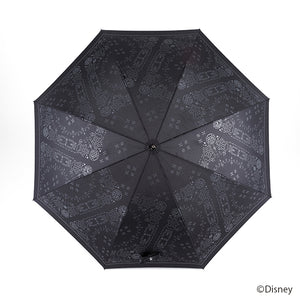 Xion Model Umbrella Kingdom Hearts