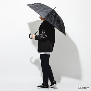 Riku Model Umbrella Kingdom Hearts
