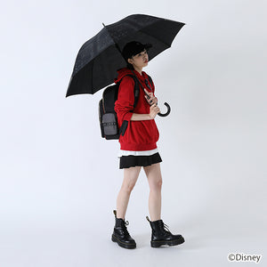 Sora Model Umbrella Kingdom Hearts
