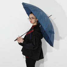 Load image into Gallery viewer, Giyu Tomioka Model Umbrella Demon Slayer: Kimetsu no Yaiba
